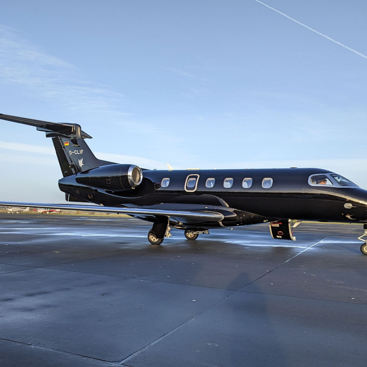 Private Aviation Chauffeur Service Danemark