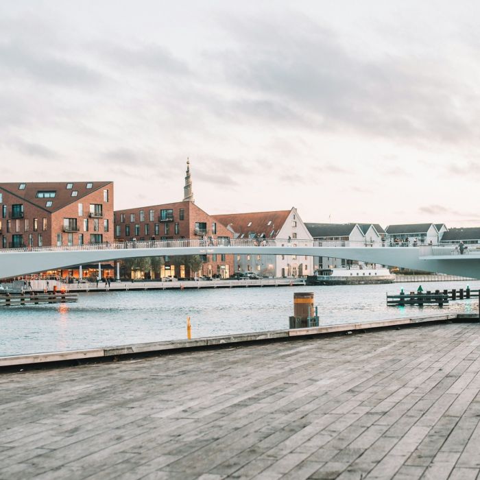 Tour guide 4: Grand City Guided Tour of Copenhagen