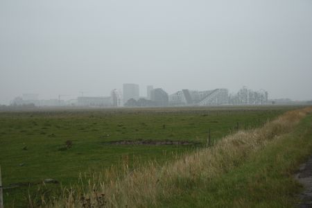 Discovering-Kalvebod-Fælled