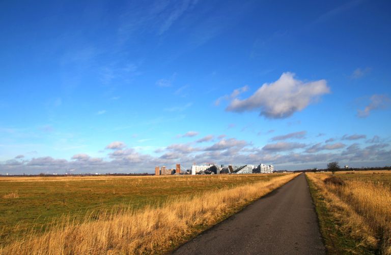Traversing Kalvebod Fælled: Where Nature and Sophistication Converge on Copenhagen’s Edge