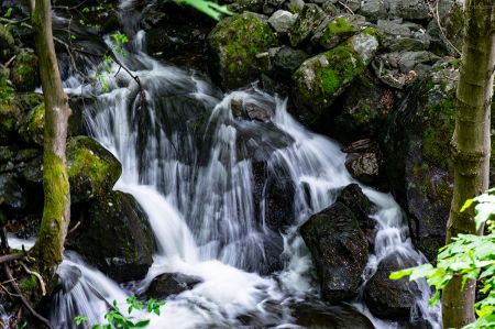 Visiting-Boyana-Waterfall